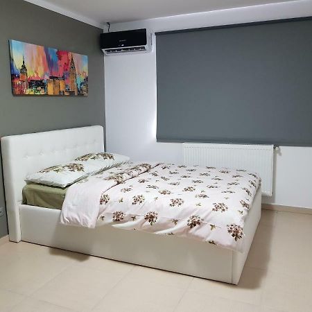 Cozy&Elegant New Studio In 布加勒斯特 外观 照片